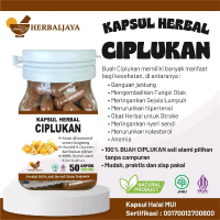 HERBAL JAYA || KAPSUL CIPLUKAN || ISI 50 KAPSUL 100% HERBAL ALAMI