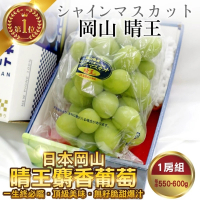 【WANG 蔬果】日本岡山縣晴王麝香葡萄1房禮盒x1盒(550-600g/串)