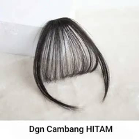 Hair Clip Poni Depan Poni Palsu Depan Korea Hariclip/poni tipis hitam alami