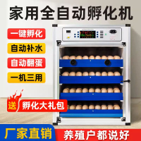 【台灣公司 可開發票】孵化器孵化機全自動小雞家用孵蛋器孵蛋機孵小雞機器孵化箱中大型