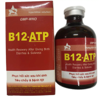 ATP-B12-Dung dịch tiêm 50ml bổ sung ATP, B12 giúp tăng cơ, bổ sung năng lượng nhanh cho gà thi đấu,g
