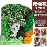 【A-ONE】永久花 普翠欲滴 乾燥花束 捧花 乾燥花 不凋花 永生花 花材 手作 情人節 母親 C11