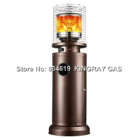 New Type Mobile Indoor Outdoor Gas Infrared Radiant Heater Home Commercial Gas Patio Heater Office Gas Infrared Heater