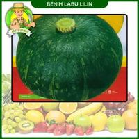 Benih Buah Buahan Semangka Strawberi Melon Labu Benih Bibit Murah Berkualitas Labu Lilin