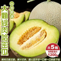 【果之蔬】台灣嚴選大顆綠肉哈密瓜(約1200g/顆)x5顆