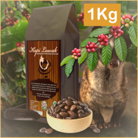 Kopi Luwak Robusta Lampung Barat 1Kg Kopi AKL Coffee Bukan Arabika