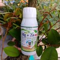 Phân bón lá Mg Kẽm siêu xanh lá chai 500ml