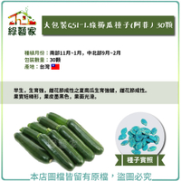 【綠藝家】大包裝G51-1.綠櫛瓜(阿菲)種子30顆