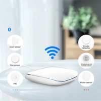 Hub Multi-Model Smart Home Bridge Wireless Remote Controller Work For Alexa&amp;Google Home