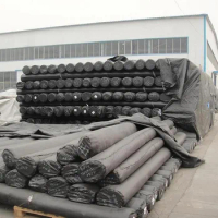 PVC Geomembrane Sheet Geomembranas 1mm Geo Material Plastic Smooth Geomembrane HDPE Pond Liner Dam Liners Price