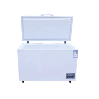 Hot Sale Factory Price high quality refrigerator equipment chest deep freezer