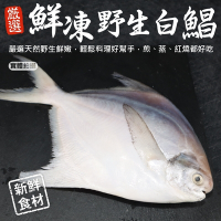 【海陸管家】鮮嫩野生白鯧魚4尾(每尾220g-280g)