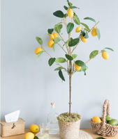 阿楹 仿真綠植盆栽室內假檸檬樹ins客廳落地擺件裝飾北歐假花植物 領券更優惠