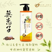 皂皂果 - 生姜無患子洗髮精 500mL
