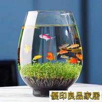 開立發票 玻璃魚缸水培植物玻璃瓶綠蘿花瓶花盆辦公室創意水養魚缸器皿容器送定植欄yylp1024