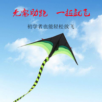 風箏專業級特技大人專用超大濰坊長尾草原兒童初學者微風易飛帶線