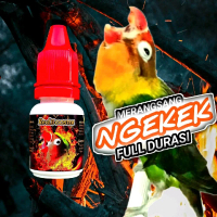 OIL RED_BOOSTER RAJA GOYANG/VITAMIN PENGGACOR LOVBIRD/VITAMIN KONSLET/VITAMIN BURUNG LOVEBRID/ VITAM