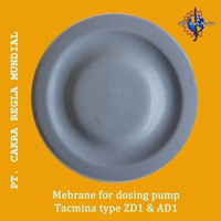 Membrane Dosing Pump for TACMINA AD1-63-VTCF-FWX
