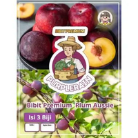 Bibit Premium Buah Plum Aussie | Benih Plum Aussie