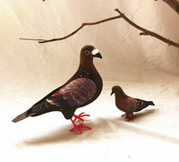 動物模型 仿真斑鳩 鴿子信鴿 白鴿彩色仿真鳥攝影教科道具玩具