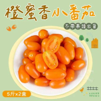 【禾鴻】橙蜜香小番茄禮盒5斤x2盒(不帶蒂頭出貨)【friDay獨家】