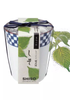 Seishin 日本進口‧和式茶杯草藥配料盆栽 - 紫蘇