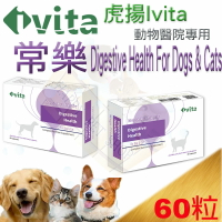 [免運]ivita虎揚 Digestive Health常樂 -60粒 含布拉酵母菌 似腸保寶.益生菌動物醫院專賣