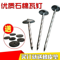 石棉瓦釘 瓦楞釘大頭釘 彩鋼瓦釘 圖釘2寸2.5寸3寸4寸一箱20包