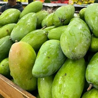 Buah Mangga Kiojay (Qyojay) Segar 1kg