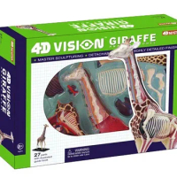 4D MASTER Authentic educational toys 4d master animal models assembled model Giraffe Anatomy