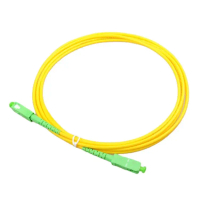 SC APC - SC APC 3m Simplex Single Mode Communication Fiber Optic Patch Cord Optical Jumper Cable