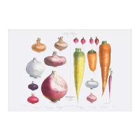 PJÄTTERYD 無框畫, 洋蔥、小蘿蔔和胡蘿蔔, 118x78 公分