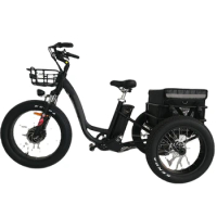 500W wholesale 3 wheel electric tricycle fat tire cargo electric tricycles for adult tricycle electric motorcycle