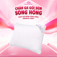 Ruột gối cao cấp Sông Hồng Premium Comfy