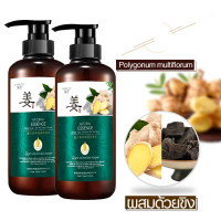 【2 Bottles】Zenshow Anti-Hair Loss Shampoo, Ginger Shampoo. Ginger Helps Prevent Hair Loss. Shampoo f