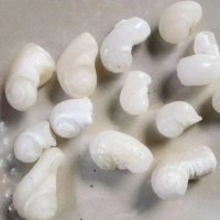 BATU FOSIL KEONG / KOL BUNTET KRISTAL NATURAL