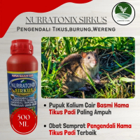 Obat Pembasmi Tikus Sawah | Pupuk & Pestisida Padi Anti Hama Tikus Ampuh - NURRATONIX SIRKUS - Pesti