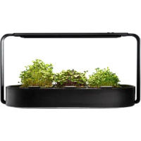 Organic Superfood Sprouting Seed Pads (3) | Auto 4-Stage LED Grow Lights &amp; Hydroponic Watering System | Chic Steel Frame