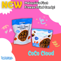 Sweegies Freeze Dried Cloud9 Chocolate Bar CoCo Cloud Snack Food Sweet