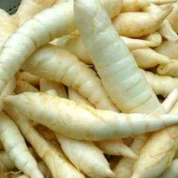 UMBI GARUT FRESH 1 KG Organik