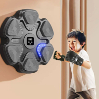 Mesin Tinju Music Boxing Machine Wall Target Bluetooth