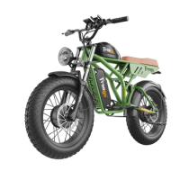 2000W 40Ah Dual drive dual motors front and rear Removable Battery Off Road Fat Tire Electric Dirt Bike E bikecustom