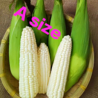 COD 5 batang 100%A Size Cameron Jagung SUSU( A Size ,5pieces)
