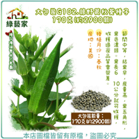 【綠藝家】大包裝G102.綠野黃秋葵種子170克(約2900顆)