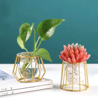 【沐森 Green Life】金色直筒金屬花架 含水培杯(盆栽 空氣鳳梨花架)