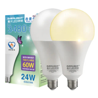 【Everlight 億光】8入組 24W LED超節能Plus球泡燈 BSMI 節能標章(白光/黃光)