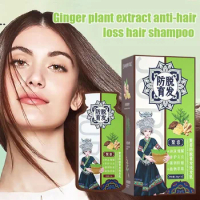 2024 Ginger Plant Extract Anti-Hair Loss Hair Shampoo Anti Hair Loss Shampoo Deep Nourishment Natural Ingredients