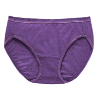 【Wacoal 華歌爾】竹炭纖維M-LL中腰高裾三角褲NS5126(紫)