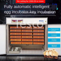 Incubator Automatic Small Intelligent Household Egg Large Chicken, Duck, Goose, Bird, Quail