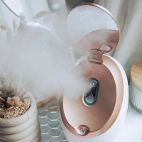 Flawless Face Steamer
